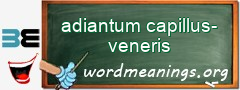 WordMeaning blackboard for adiantum capillus-veneris